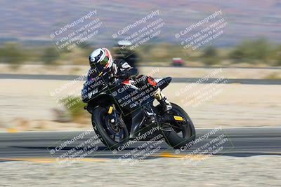 media/Jan-13-2024-SoCal Trackdays (Sat) [[9c032fe5aa]]/Turn 14 (10am)/